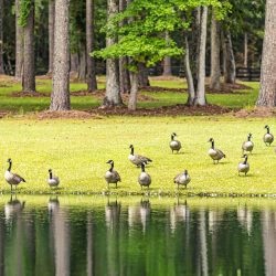 549765821_18519316243051327_9100448111508942366_n